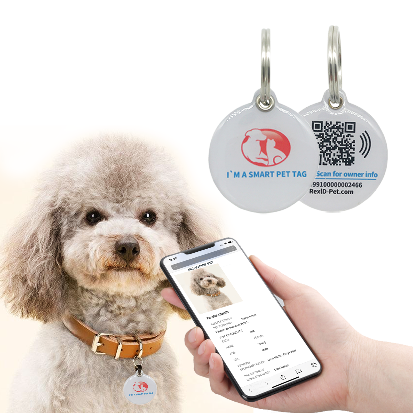 RexID Dog Tag QR Code Pet ID Tags with Pet Online Profile and Owner Co