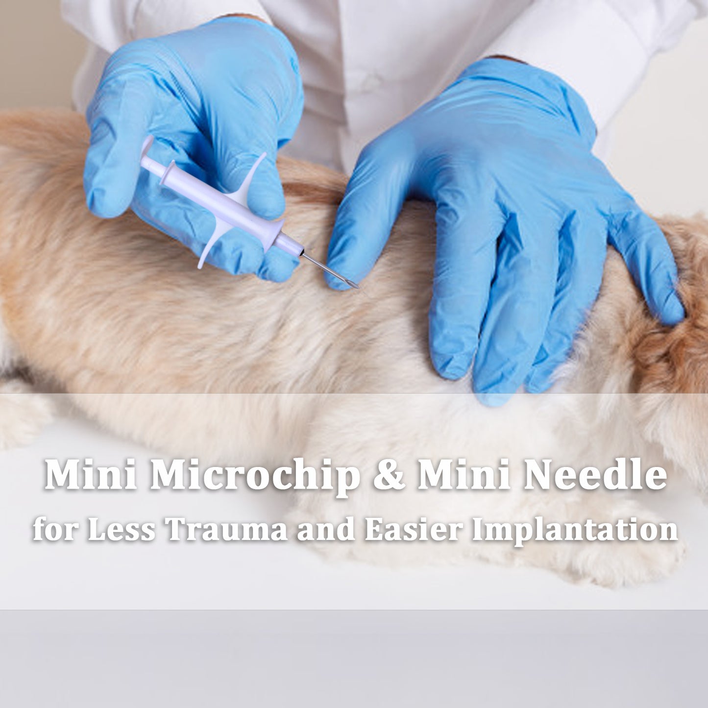 1.25mm 7mm Pet Microchip ISO Standard FDX-B