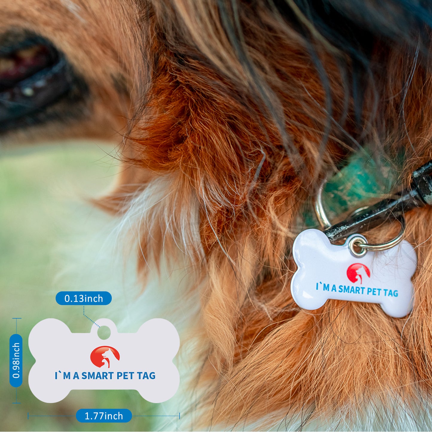 RexID Dog Tag QR Code Pet ID Tags with Pet Online Profile and Owner Contact,Smart Permanent ID Tag for Connecting Pet Owner Immediately by Anybody Anywhere with Mobile Phone